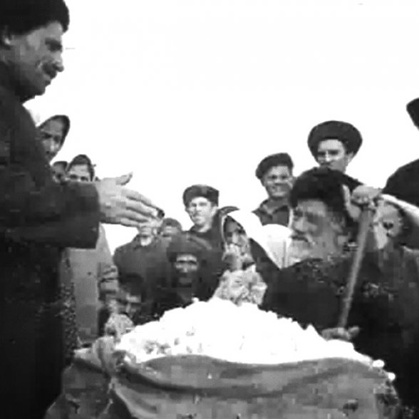 ЧЕЧНЯ.1938 г. Свиноводческая ферма в Дарго