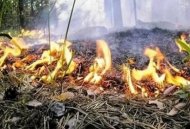 МЧС предупреждает о чрезвычайной пожароопасности в некоторых районах ЧР