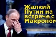 «Похож на суетливого поросенка»: в Сети появился скандальный ролик с участием Путина