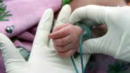 Шокирующая халатность персонала в перинатальном центре привела к смерти младенцев