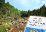 Сегодня вступил в силу новый Порядок осуществления государственного лесопатологического мониторинга