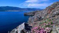 В России трагически погиб иностранный турист В России трагически погиб иностранный турист