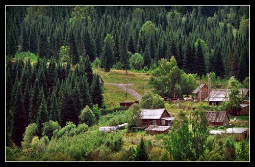 Тайна таёжного села Чеченево.