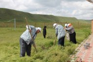 В Чечне Народный фронт  обустроил правый берег Терека