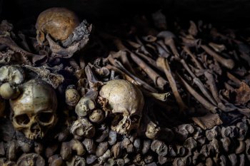 Сенсация! В Чечне найдены новые древние подземные «города мёртвых». 