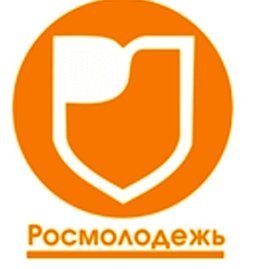 Координационный совет молодежных организаций органов исполнительной власти создадут в РФ