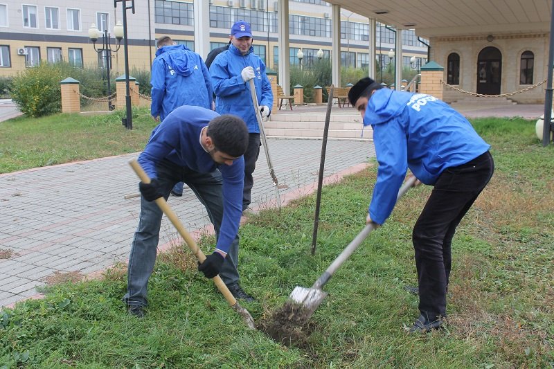 Чеченские партийцы ЕР провели экологическую акцию