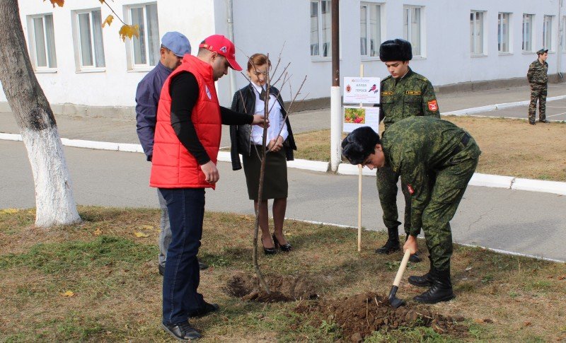 КБР. «Молодежка ОНФ» в Кабардино-Балкарии высадила «Аллею героев»