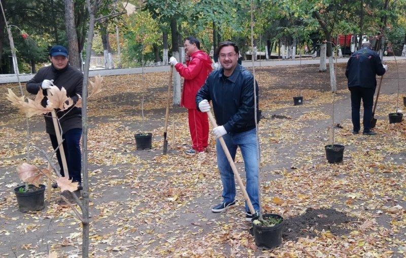 РОСТОВ. Депутаты гордумы высадили две рябиновые аллеи