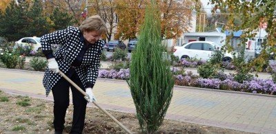 РОСТОВ. Осенний день древонасаждений прошёл в Октябрьском районе