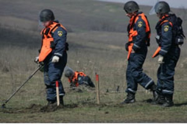 Военнослужащие в 2018 году разминировали в Чечне и Ингушетии более 1,7 тыс. га лесов