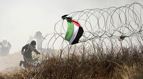 Более 100 палестинцев пострадали в стычках с израильтянами в Газе