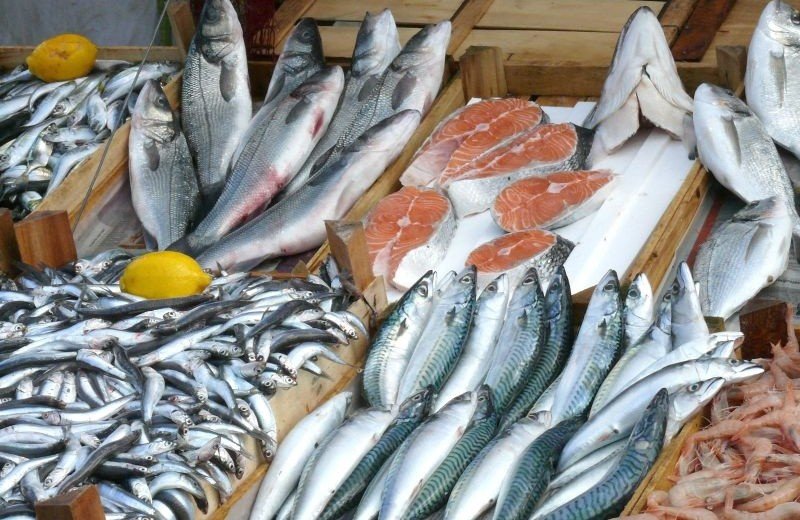 ЧЕЧНЯ. Роспотребнадзор проверил качество рыбной продукции в Чечне