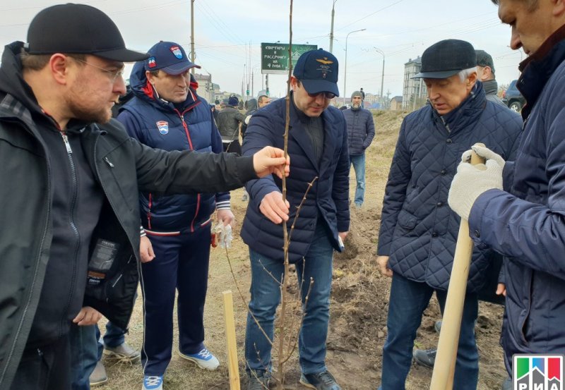 ДАГЕСТАН. «Зеленые километры» двигается ближе к Махачкале