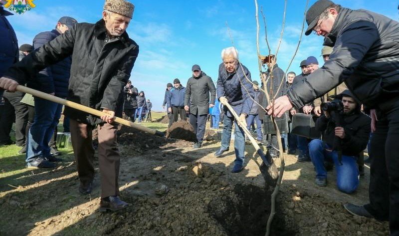 ДАГЕСТАН. По инициативе Владимира Васильева Дагестан станет зеленее