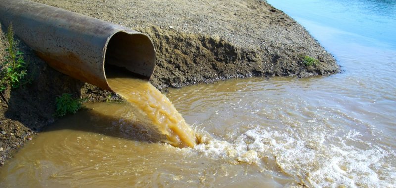 КЧР. Сброс канализации в воду в поселке Правокубанском отравил Кубань