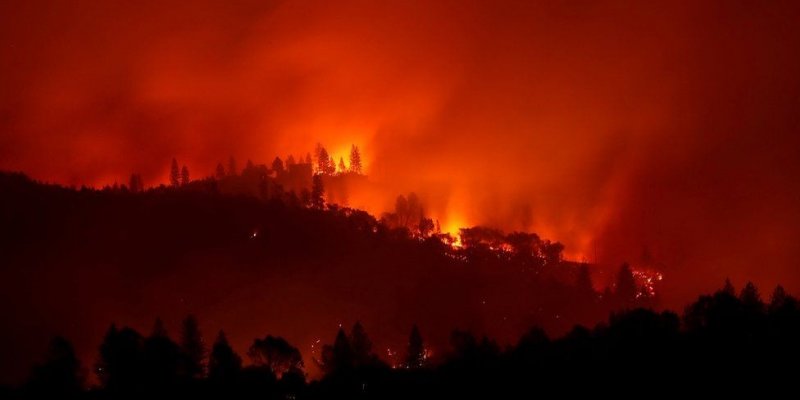 Лесные пожары в Калифорнии почти потушены благодаря дождям
