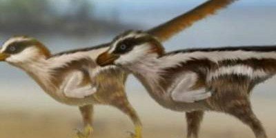 Обнаружены самые маленькие в мире следы динозавров
