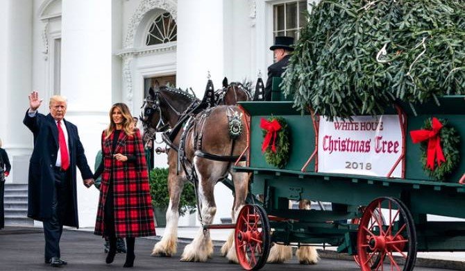 Президент и первая леди США провели церемонию встречи рождественской ели в Белом доме
