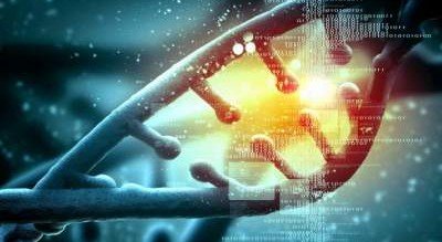 Ученые приблизились к редактированию ДНК