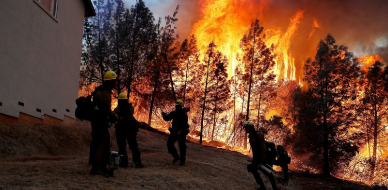 Ущерб от лесных пожаров в Калифорнии составит миллиарды долларов