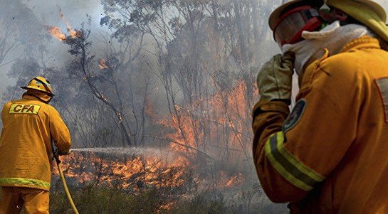 В Австралии лесные пожары охватили более 20 тысяч гектаров