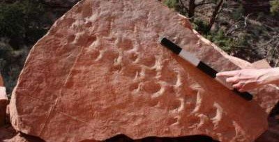 В Гранд-Каньоне найдены следы неизвестного древнего пресмыкающегося