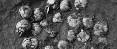 В Китае нашли колодец, заваленный черепами
