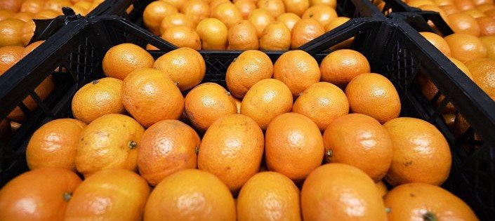В России пресечен ввоз более 25 тонн апельсинов и 550 тонн зараженных мандаринов из Турции