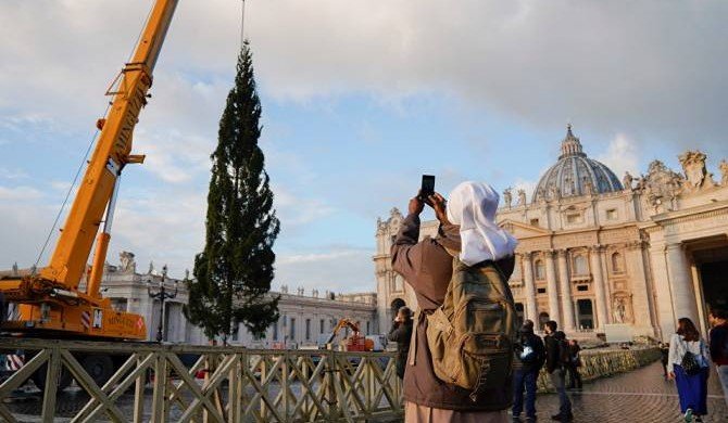 В Ватикане установили 23-метровую рождественскую ель