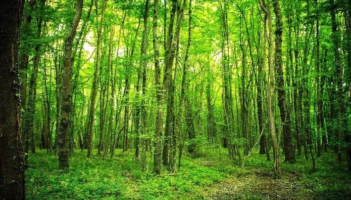 ДАГЕСТАН. В 2019 году в Дагестане будет создан национальный парк «Самурский»