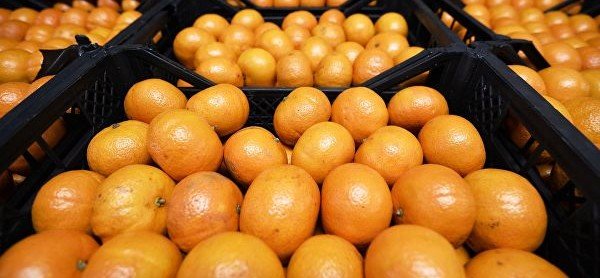 Диетолог рассказала, сколько мандаринов можно съесть в день