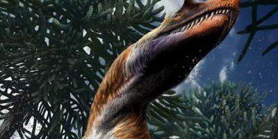 Обнаружен новый род хищных динозавров