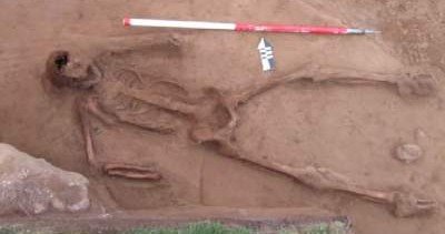 Пришелец или циклоп: археологи нашли кости странного существа