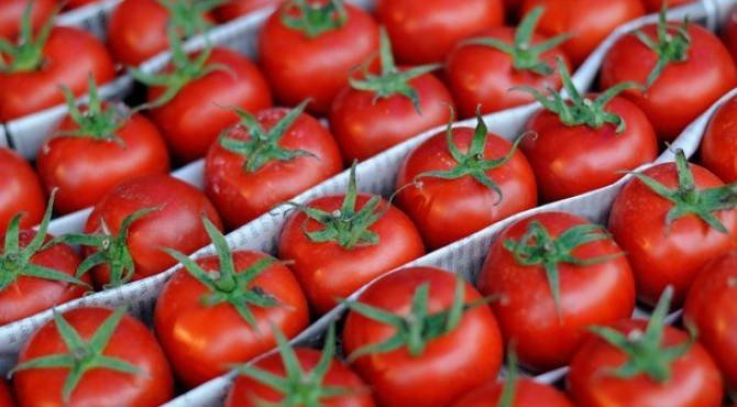 Турецкие помидоры уже не вызывают ажиотажа у россиян, заявили в Минсельхозе