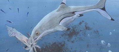 Ученые определили облик «китов мезозоя»