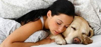 Ученые выяснили, как сон с собакой влияет на человека