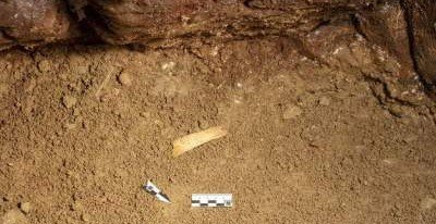В Денисовой пещере нашли фрагмент древней диадемы из бивня мамонта