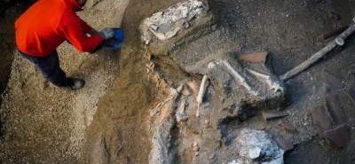 В Помпеях обнаружили останки лошади в упряжке