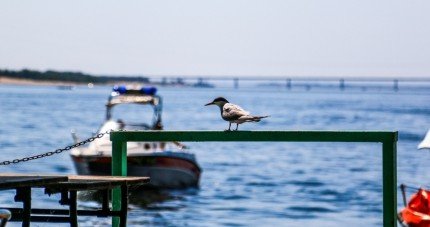 ВОЛГОГРАД. На водоёмах Волгоградской области закрывается навигация