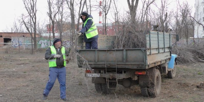 АСТРАХАНЬ. В Парке велосипедистов проводят омолаживающую обрезку деревьев