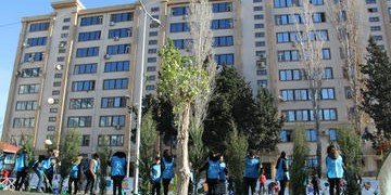 АЗЕРБАЙДЖАН. Пятнадцатый двор благоустроили в Баку в рамках проекта Общественного объединения IDEA