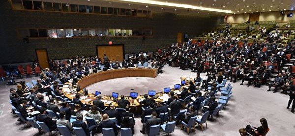 Бельгия на два года стала непостоянным членом Совета Безопасности ООН