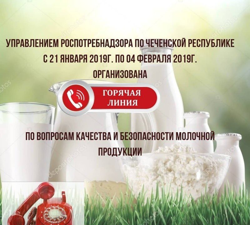 ЧЕЧНЯ. Роспотребнадзор по ЧР открыл «горячую линию» по вопросам качества молочной продукции
