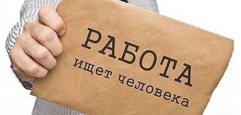 ЧЕЧНЯ. В банке вакансий Чечни имеется свыше двух тысяч свободных рабочих мест