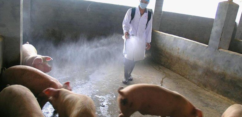 ГРУЗИЯ: В Грузии умерла третья пациентка с подозрением на «свиной грипп»