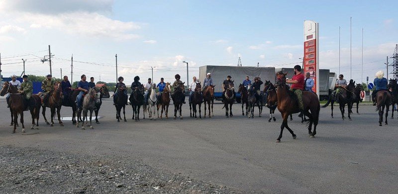 ИНГУШЕТИЯ. Евкуров поддержал идею «Дикой дивизии» об организации в Ингушетии конных прогулок для туристов