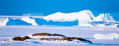 Эстонцы планируют уникальную экспедицию, посвященную открытию Антарктиды