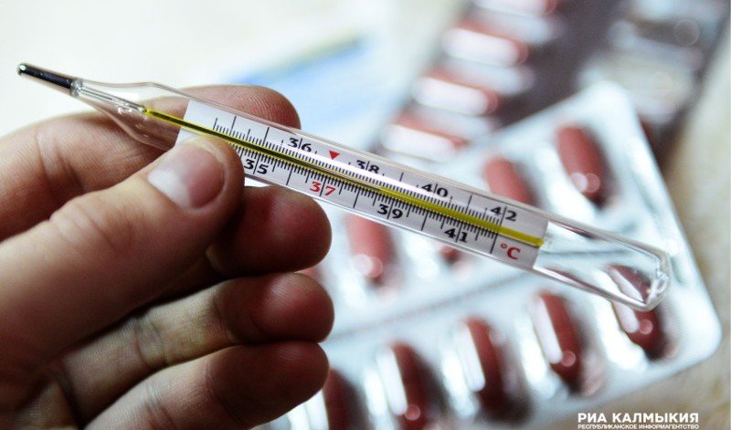 КАЛМЫКИЯ. В Калмыкии регистрируют первые случаи заболевания гриппом