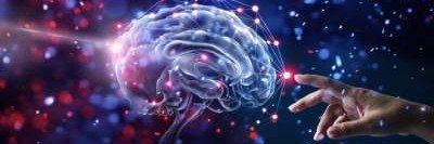 Представлена новая теория работы мозга